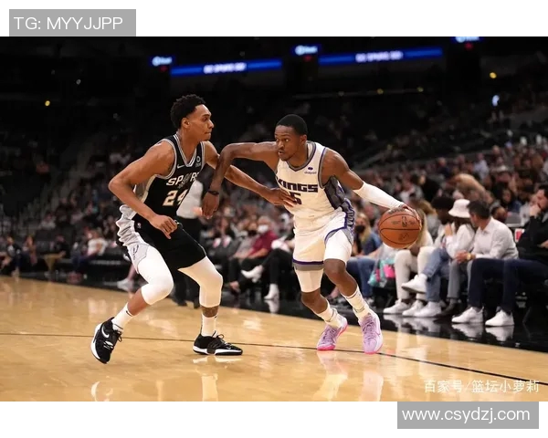 08马刺与黄蜂精彩对决全场录像回放分析与精彩瞬间集锦